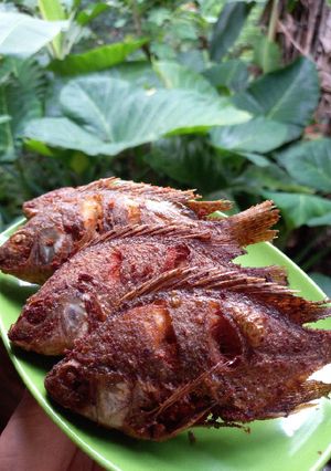 Foto resep Ikan mujaer goreng