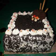 A picture of Brownis Kukus.