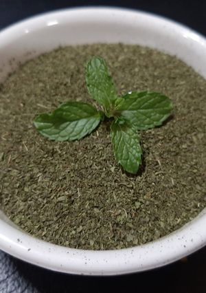 ફુદીનાનો પાઉડર રેસીપી મુખ્ય ફોટો