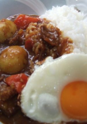 A picture of A Unique Dish My Family's Beef Tendon Curry.