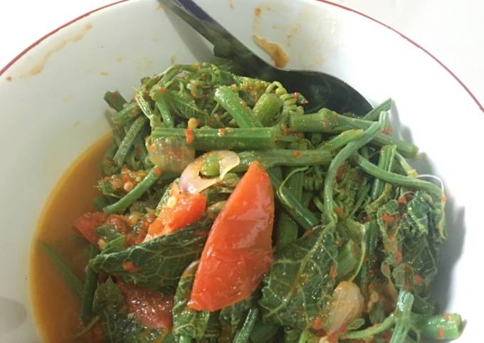 Sayur pucuk labu tumis terasi