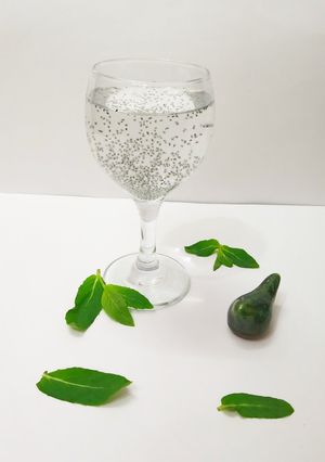 عکسی از دستور شربت نعنایی