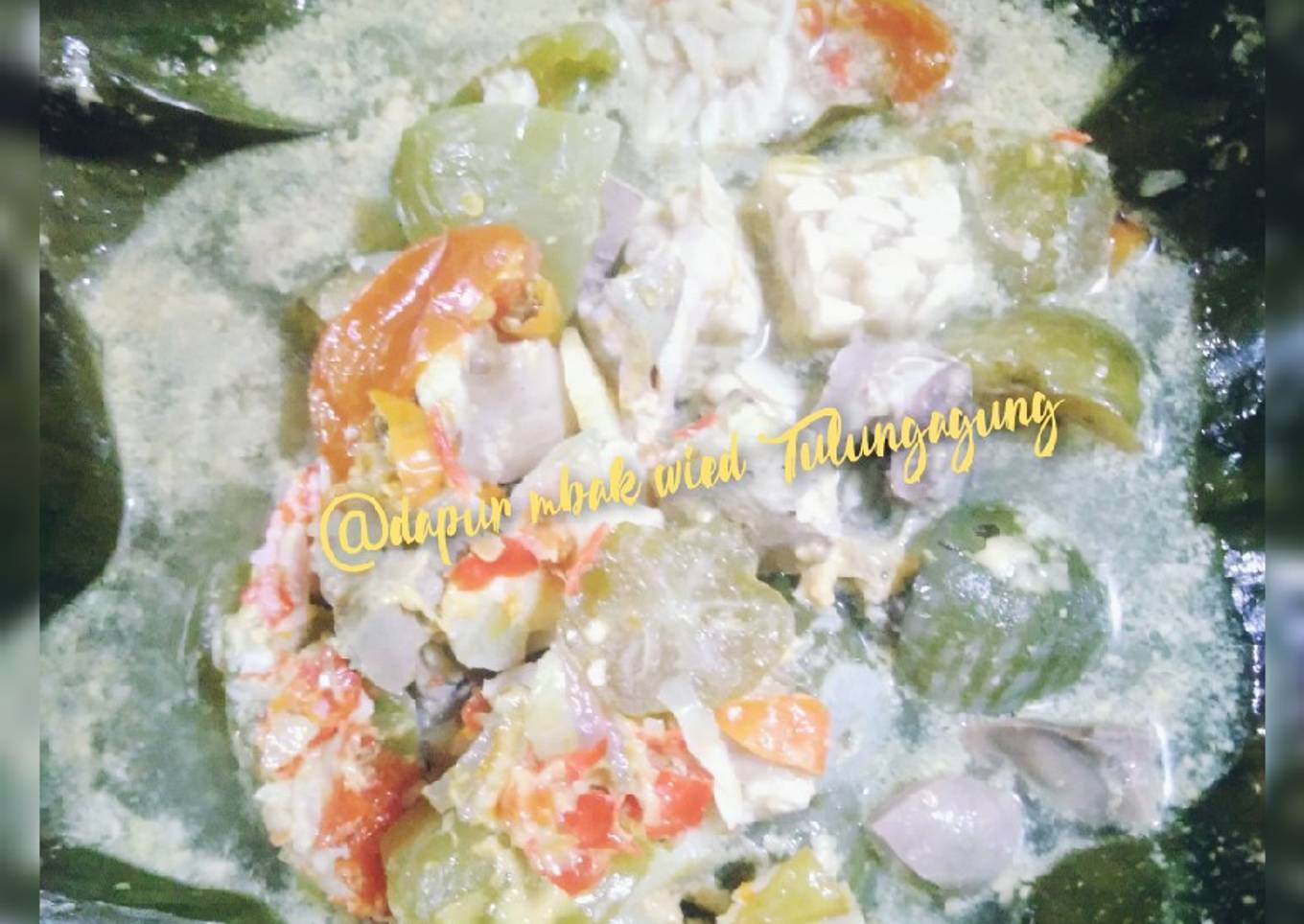 3. Geneman Rempeloati Tempe Terong Bunder