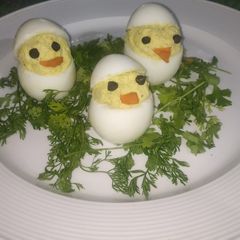 A picture of Baby chicks.