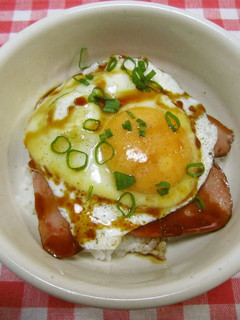 A picture of Our Family's Roast Pork and Egg Rice.