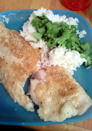 A picture of healthy parm breaded fillettes.
