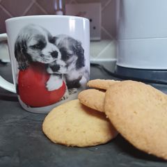 A picture of Milky Coconut Cookies.