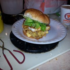 A picture of Tilapia fish sandwich.