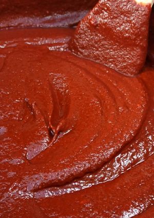 Una foto de Mole amarillo 2N