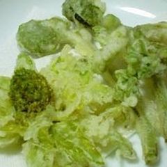 A picture of Fukinotou (Butterbur Sprouts) Tempura.