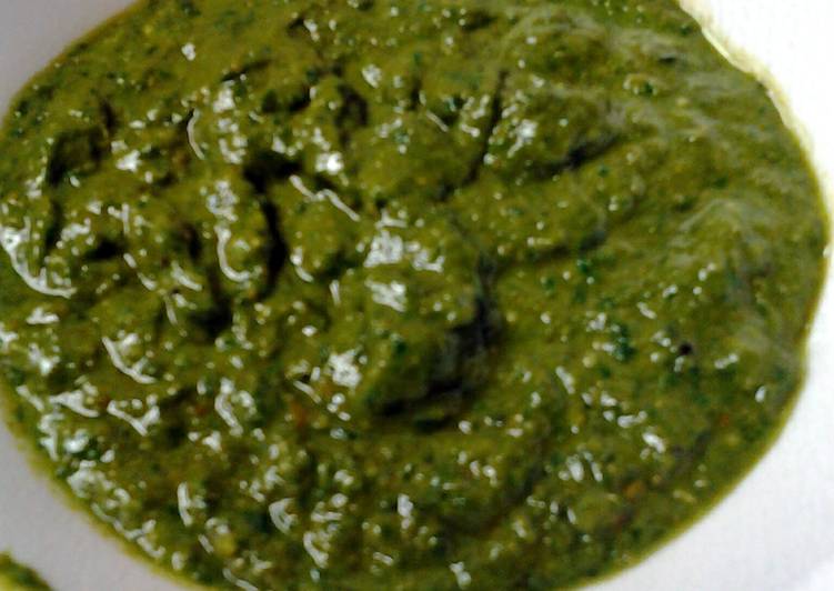 How to Prepare Appetizing pesto