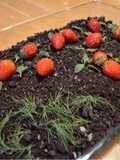 Garden Pudding