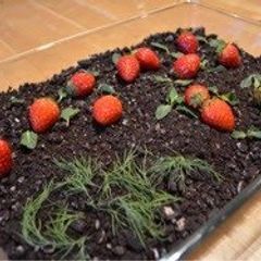 Garden Pudding A picture of Garden Pudding.