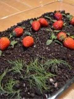 A picture of Garden Pudding.