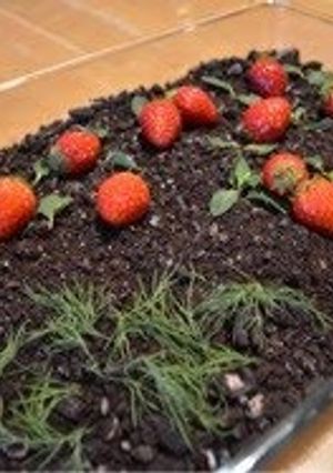 A picture of Garden Pudding.