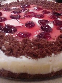 صورة لوصفة تشيز كيك بالكاستر والكرز🍒🍰
