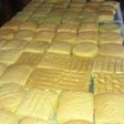 Bolu Kecebong