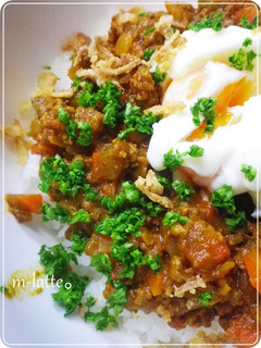 A picture of Dry Curry.