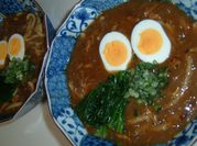A picture of mentsuyu udon