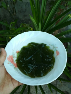 Foto resep Cincau Hijau