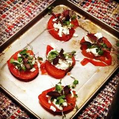 A picture of Tomato and Goat Cheese Bites.