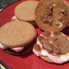 A picture of Kiwi version of smores.