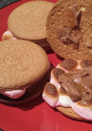 A picture of Kiwi version of smores.
