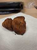 Madeleine au yacon