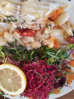 A picture of cod with stuffing and salad.