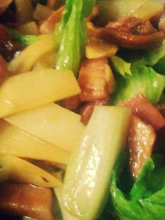 A picture of Pork with bamboo shoots.