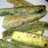 Zucchini Fries