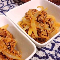 A picture of Marinated Beef and Onions.