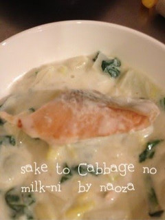 A picture of Salmon and Cabbage Simmered in Milk.