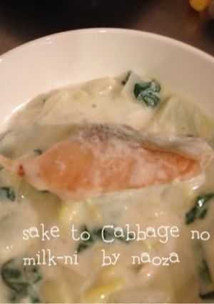 A picture of Salmon and Cabbage Simmered in Milk.