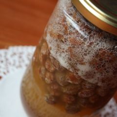 A picture of Raisin Yeast.