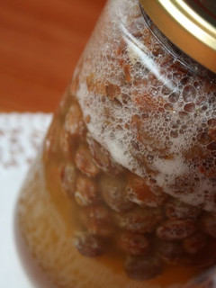 A picture of Raisin Yeast.