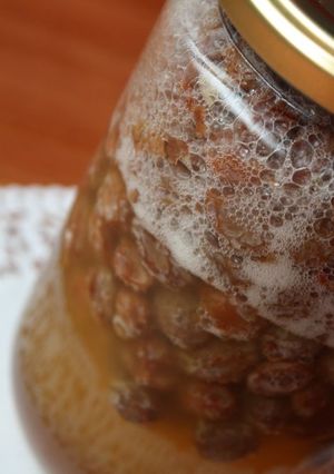 A picture of Raisin Yeast.