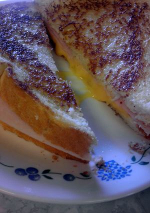 A picture of grilled sandwhich.