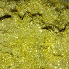 A picture of Green Chutney.