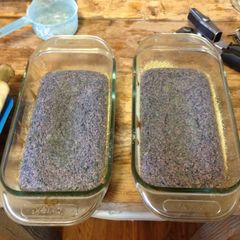 A picture of Blueberry blue corn muffins.