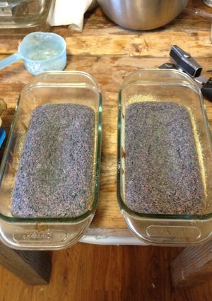 A picture of Blueberry blue corn muffins.