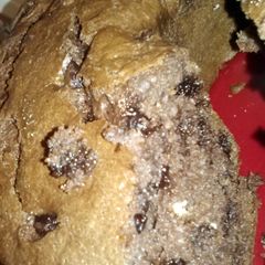 A picture of chocolate chip pound cake.