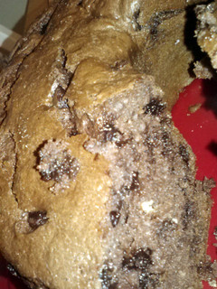 A picture of chocolate chip pound cake.