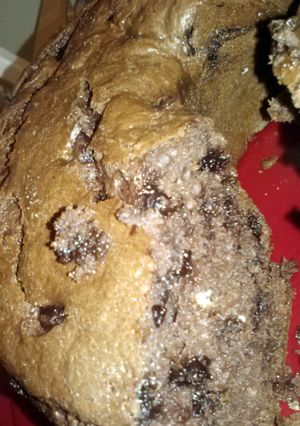 A picture of chocolate chip pound cake.