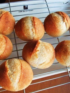 A picture of Introduction to Hard Bread - Small French Rolls.