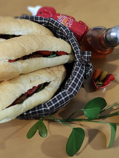 عکسی از دستور شامی
