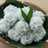 Kue Klepon Devina Hermawan