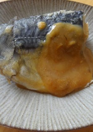 A picture of Mackerel Simmered in Sweet Miso.