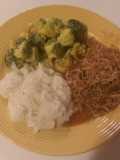 A picture of Crock Pot Pulled Chicken BBQ.