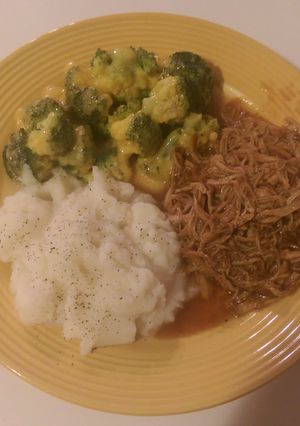 A picture of Crock Pot Pulled Chicken BBQ.